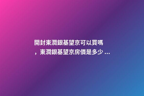 開封東潤銀基望京可以買嗎，東潤銀基望京房價是多少？